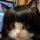 admin